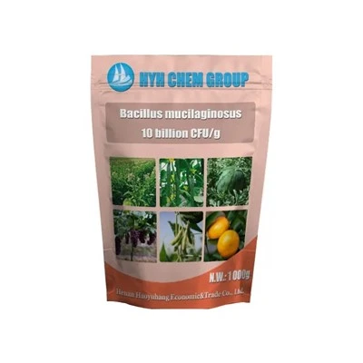 Landbrugsgrad i høj kvalitet Bacillus Mucilaginosus cas 68038-67-5